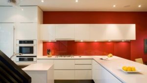 Acrylic Kitchen Cabinets