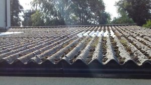 asbestos roof