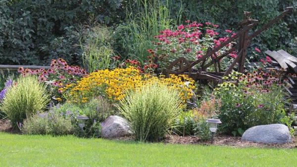 pollinator gardens