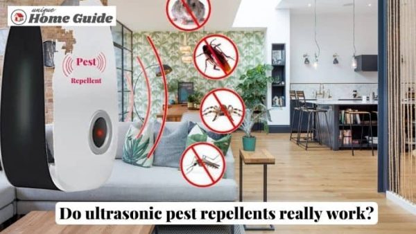 Do ultrasonic pest repellents really work