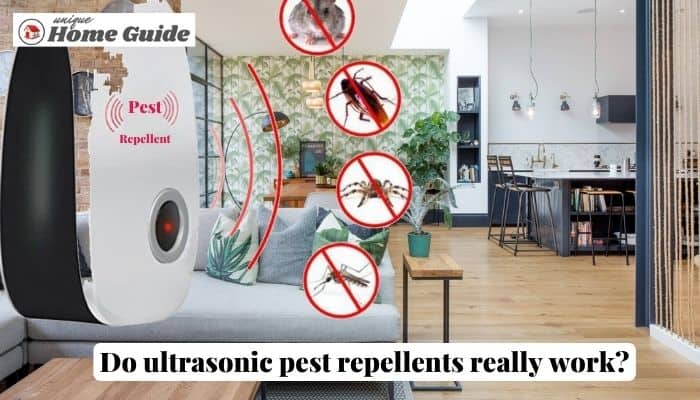 Do ultrasonic pest repellents really work