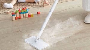 steam cleaners