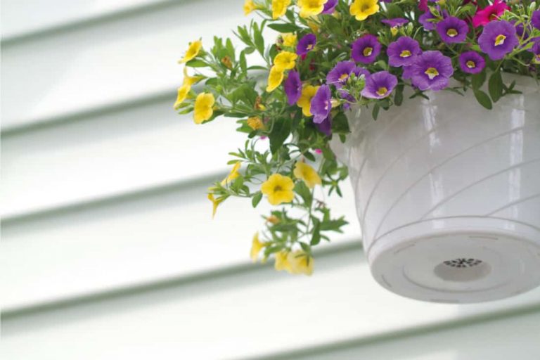 How To Hang Things On Vinyl Siding? Unique Home Guide