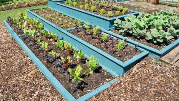 Painting-garden-beds