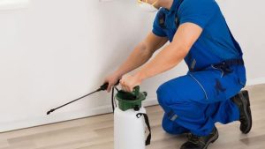 pest control