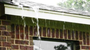 Gutters Vs No Gutters