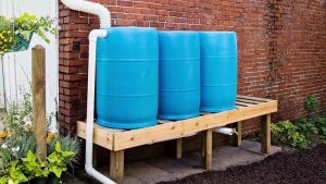 rain barrels