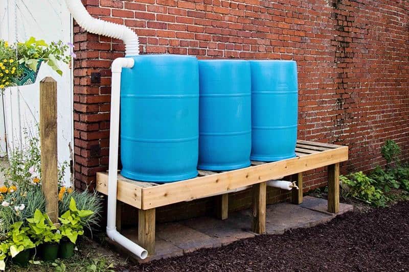 rain barrels